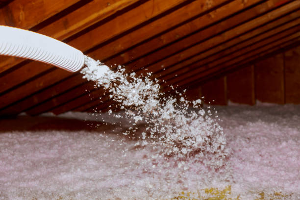 Best Spray Foam Insulation in Fishersville, VA