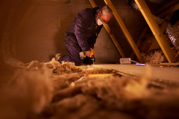 Best Eco-Friendly Insulation in Fishersville, VA
